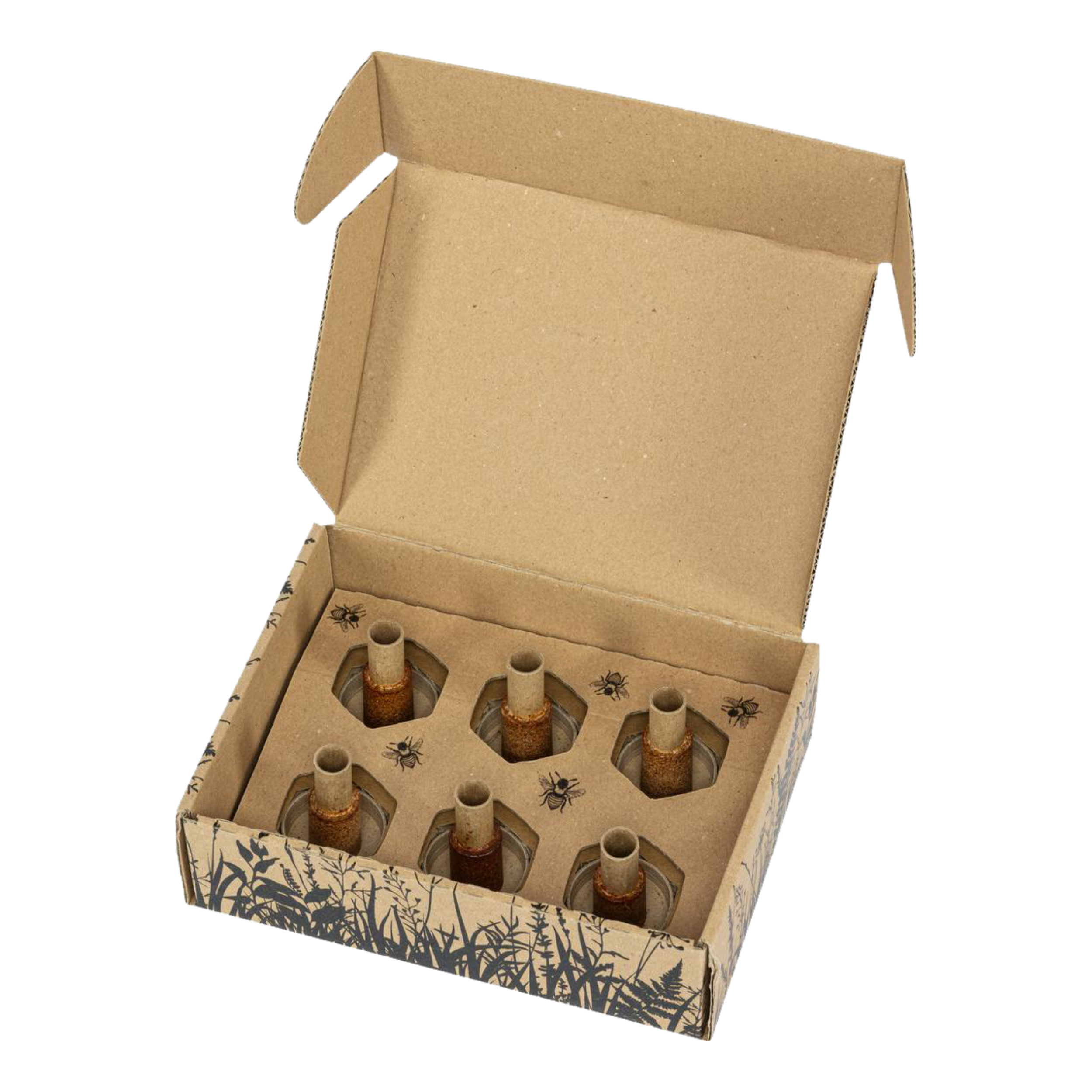 beecura® PROPOBLISS – Propolisträger Nachfüllpackung (6 Stück)