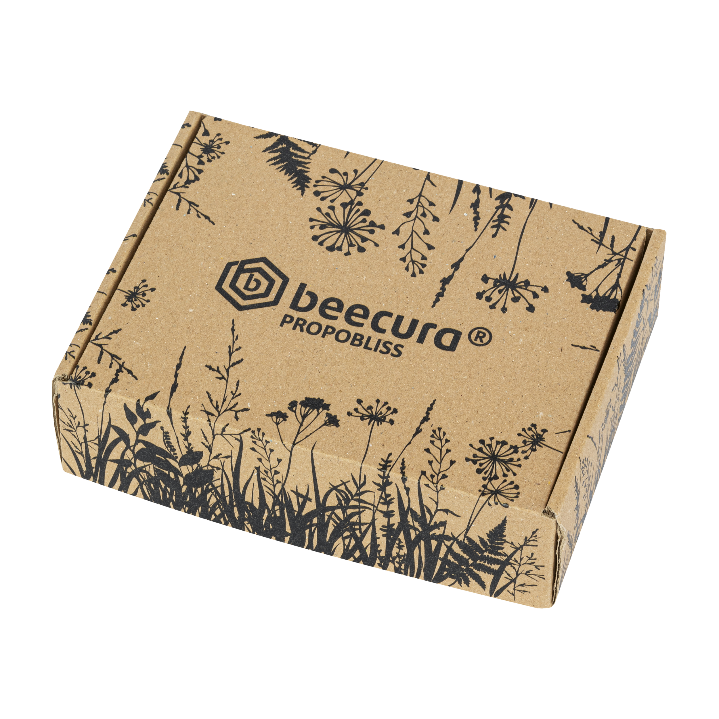 beecura® PROPOBLISS – Propolisträger Nachfüllpackung (6 Stück)