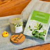 Eine Wellness-Duftkerze "Rausch der Sinne" von Candle Factory, eine Dose Erkältungszeit-Aromabadesalz, ein hölzerner Wellness & Relax-Untersetzer, eine gelbe Gummi-Ente und ein gefaltetes grünes Handtuch sind auf einer Holzfläche angeordnet.