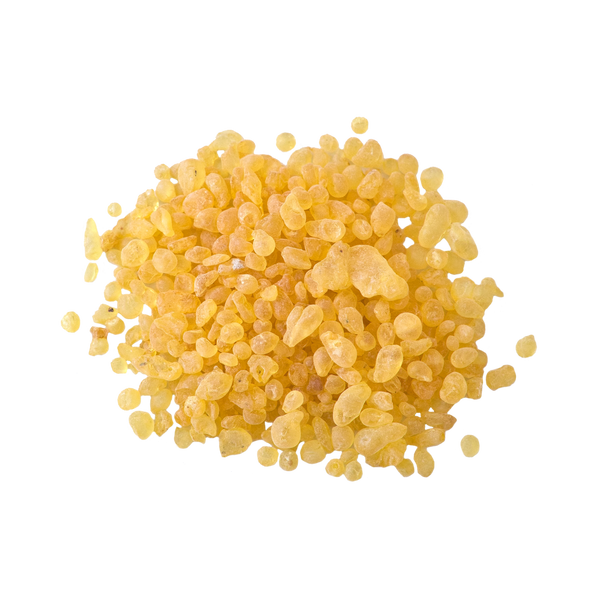 Mastix in der Schraubdeckeldose von Original Crottendorfer Räucherkerzen – gelbe, unregelmäßig geformte Körnchen, ideal für griechische Räuchermischungen, verstreut auf weißem Hintergrund.