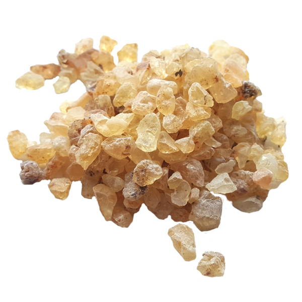 Das Räucherharz Copal 20g von Original Crottendorfer Räucherkerzen besteht aus einer Mischung kleiner, unregelmäßig geformter Kristalle in Gelb- und Bernsteintönen. Diese leicht durchscheinenden Kristalle mit rauer Textur eignen sich ideal, um in einem Räuchergefäß einen einladenden Duft zu erzeugen.