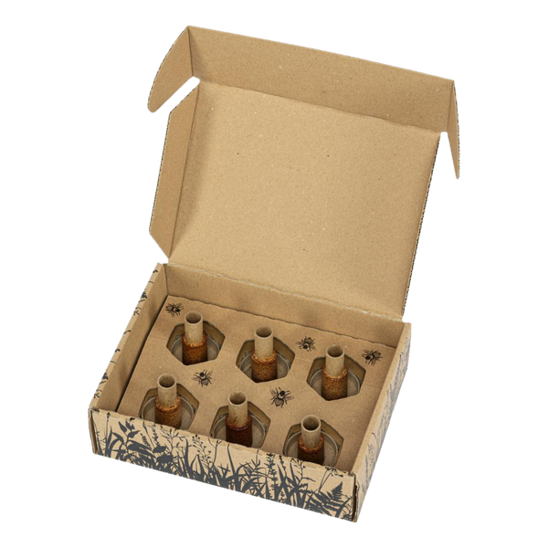 beecura® PROPOBLISS – Propolisträger Nachfüllpackung (6 Stück)